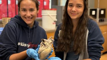 Summer School 2024 Science Activity Two female students in science class holding an organ.